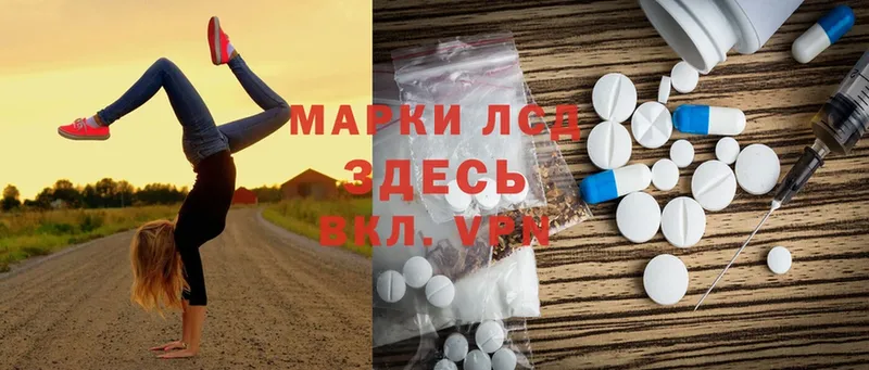 Лсд 25 экстази ecstasy  мега зеркало  Шадринск 